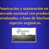 Penetración y mantención en el mercado nacional con productos terminados, a base de hierbas y especies orgánicas