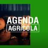 Agenda Agrícola: El mercado de la carne en Chile