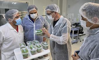 Dr. Laurent Jouve, científico y actor fundamental de la operación en Francia, trabajando con el equipo de laboratorio (In Vitro Lab) e I+D (CIDI) de Grupo Hijuelas.