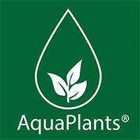 Aquaplants